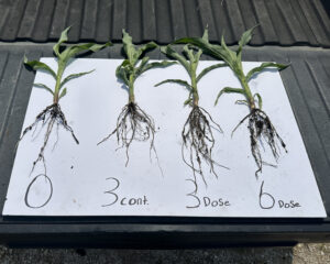 John Deere ExactShot Fertilizer System Field Trial